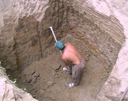 Photo from thealttab.com.