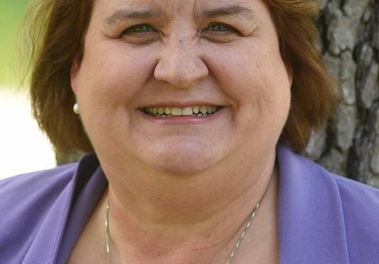 Democrat Kathleen Willis, sponsor of the bill to allow your mother-in-law to take your guns away.