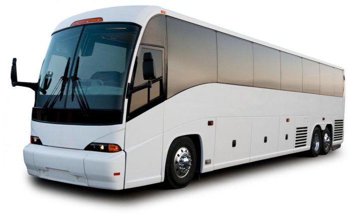 IGOLD Bus Info