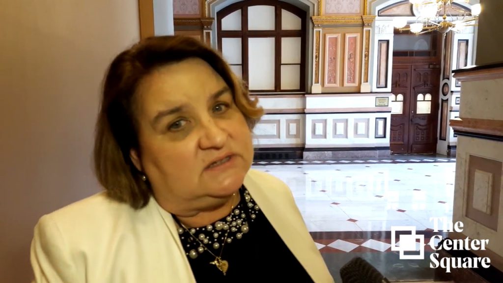 Kathleen Willis: “We worked very hard together with gun advocates” in SB1966 HA1… her racist $150 FOID card bill
